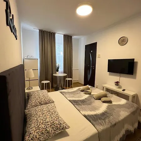Marry Studio Апартаменты Бухарест